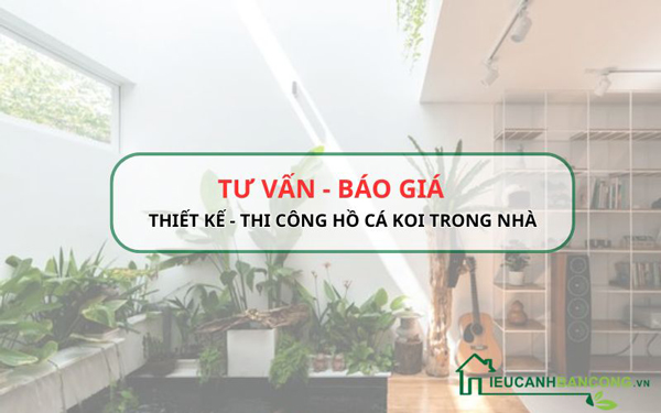 giá thi công hồ cá koi trong nhà